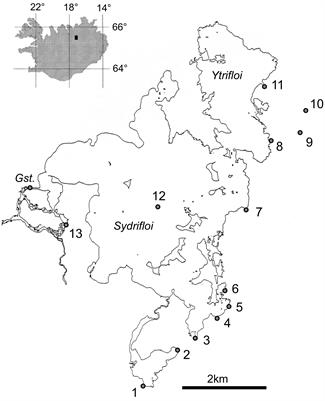 Hydrothermal and Cold Spring Water and Primary Productivity Effects on Magnesium Isotopes: Lake Myvatn, Iceland